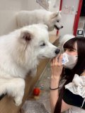 急遽❣️