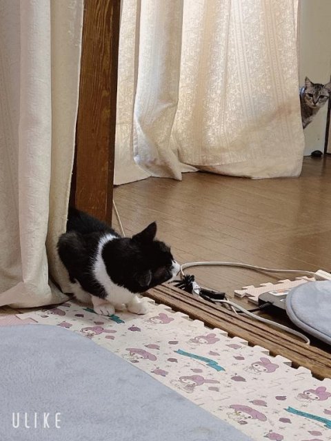 出勤しまーす☺️