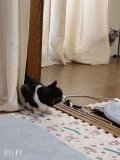 出勤しまーす☺️