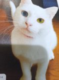 こんばんは😊