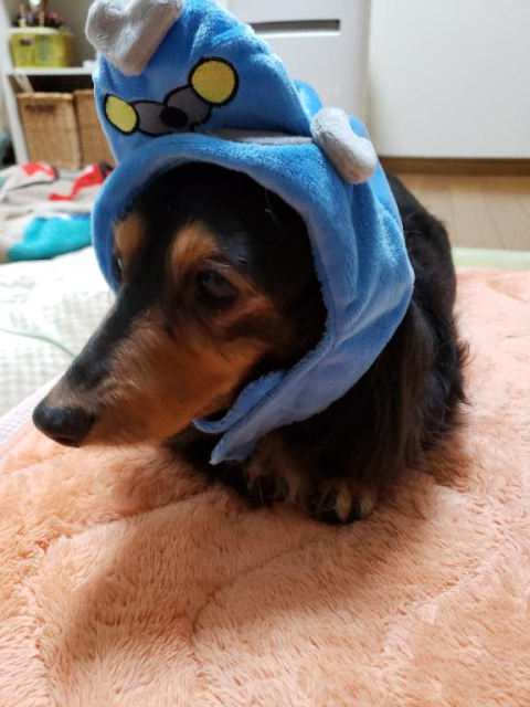 本日の受付は終了しました~