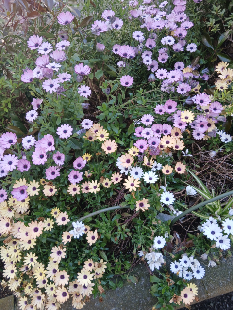 今日は暑いですね🍀