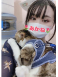 Hさん♡