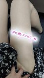 今週のご案内