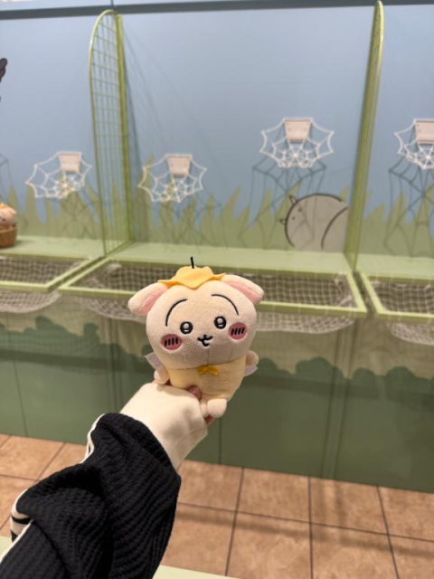 受終です🎶