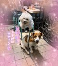 明日のご案内😌💕