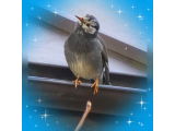 おはようございます