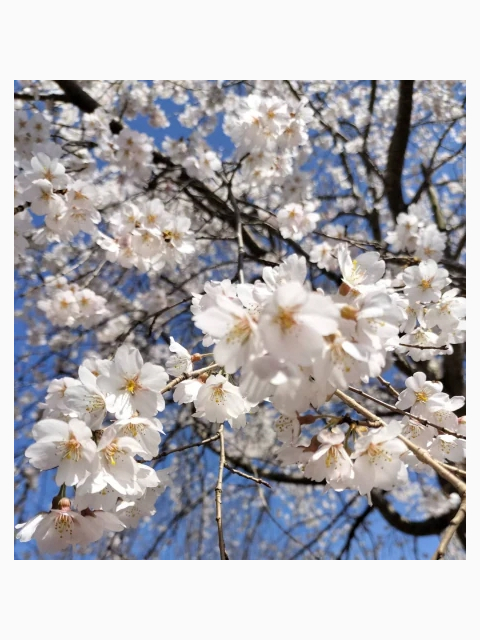 お久しぶりです😊