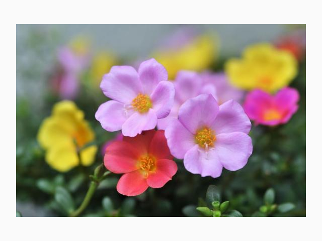 出勤しました💕