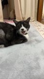 食べてみたいけども…🧐