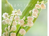 5月✨