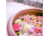 🌸𓏸𓈒 𓂃🌼.*