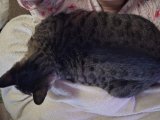 誰だと思う？