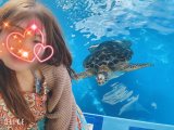 毎度お騒がせします