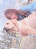 発情期の熟女