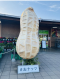さくらです