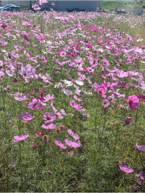 本日出勤です❣️