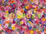 🌼明日🌼