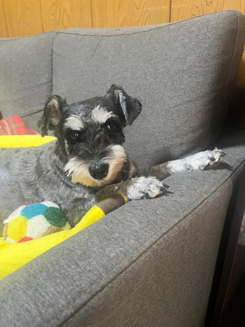 凍りましたぁー💦