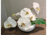 昨日のお礼
