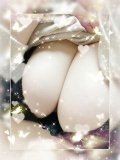 到着です