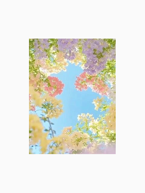 おはようございます☺️✨✨