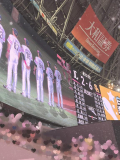すきなこと⚾️💕