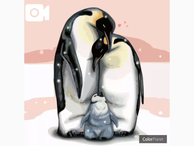 一日、ありがとうございました♪