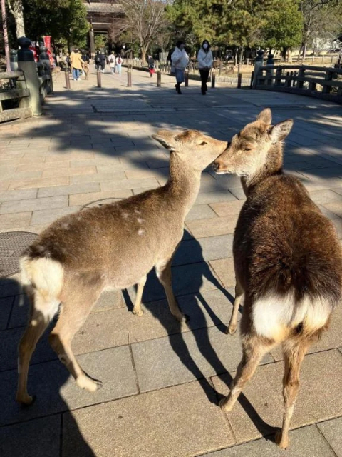 今日も一日、ありがとうございました♡