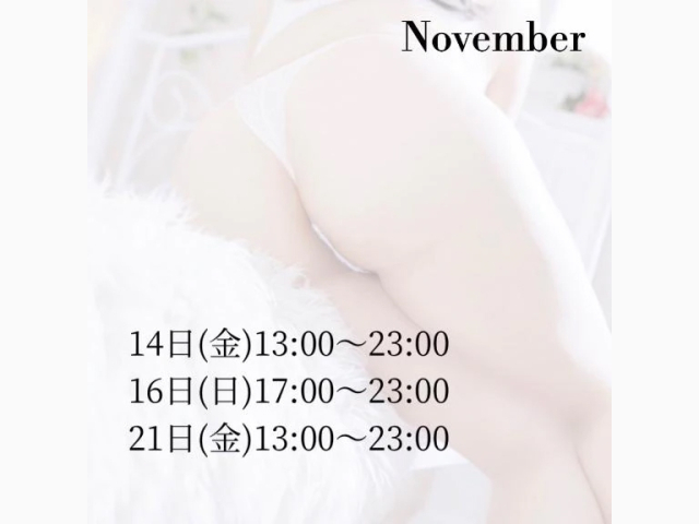 🐈⬛【11月スケジュール】🐾❤️
