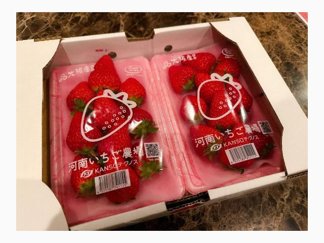 🍓✨️