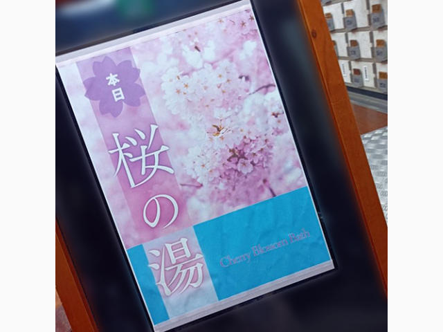 桜色に染めて欲しいの🌸