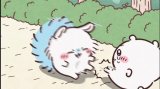 本日
