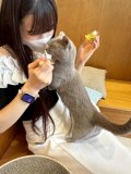 残りわずか❣️