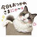 次回❣️
