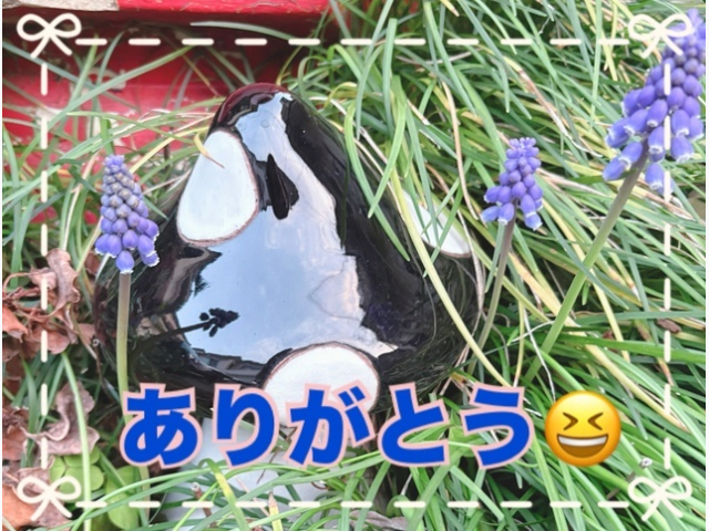 お礼の日記　4/11