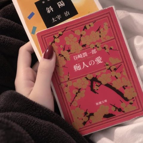 栞