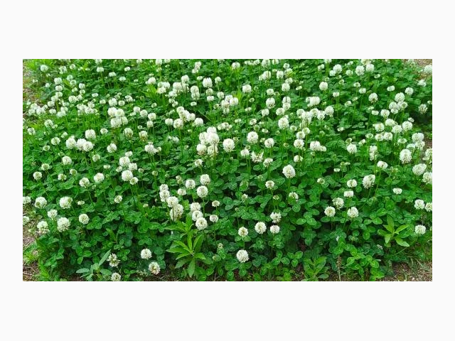 ありがとうございました