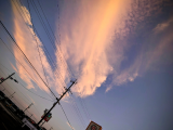 出勤しました?