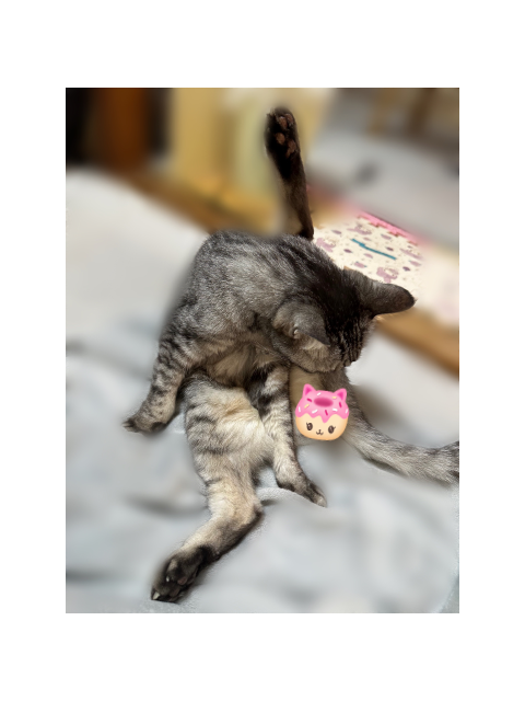 出勤 します ٩(⸝⸝・༥ ・⸝⸝)و