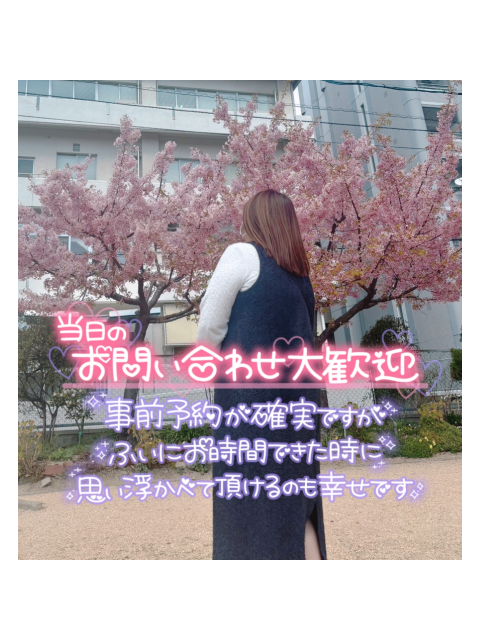 シーズン???