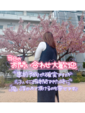 シーズン???