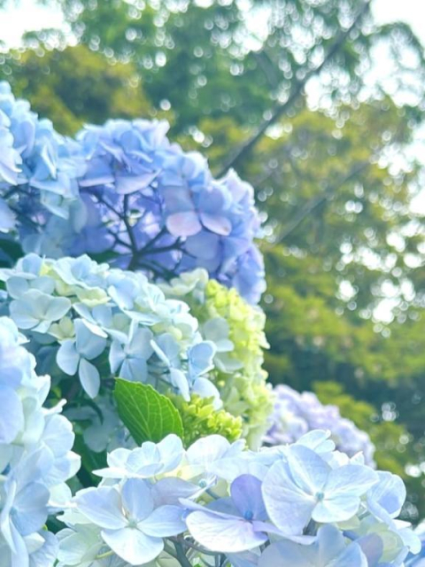おはようございます✨✨