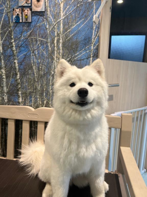 明日から🙂‍↕️