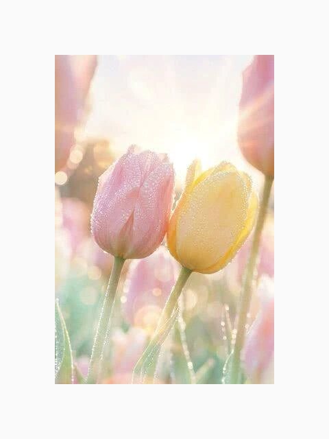 有り難うございました💓