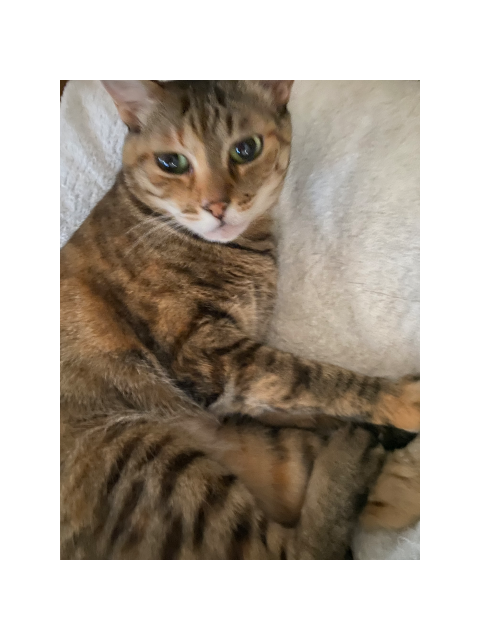 みなみです🐈‍⬛