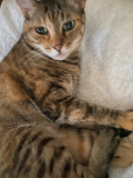 みなみです🐈⬛