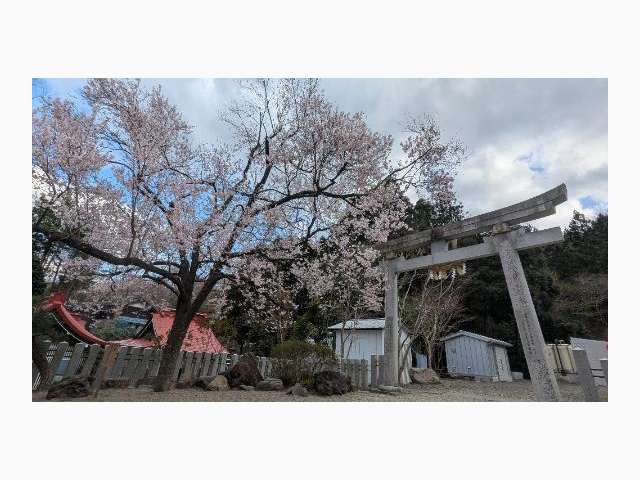 4月🌸も、無事に(*ˊ˘ˋ*)。♪:*°金蛇水神社さん✨
