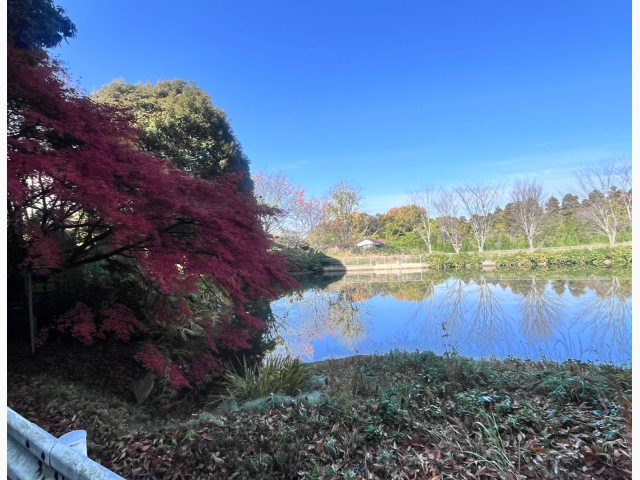 11月もありがとう?今月も宜しくお願いします(*^^*)