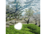 ☆彡こんにちはー！あめ